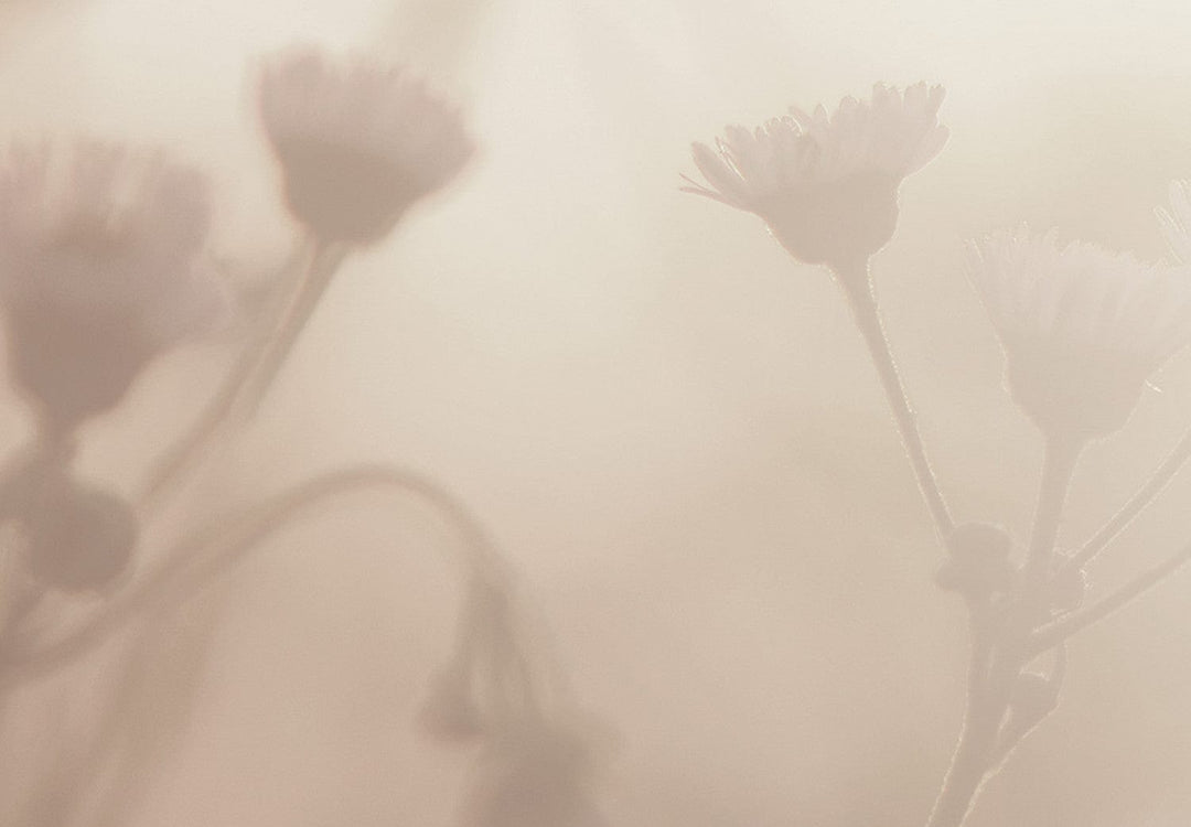 Glezna ar lauku ziediem agrā rītā, sepia, (1 daļa), vertikāla 130749  G-ART.