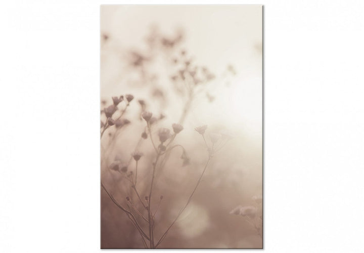 Glezna ar lauku ziediem agrā rītā, sepia, (1 daļa), vertikāla 130749  G-ART.