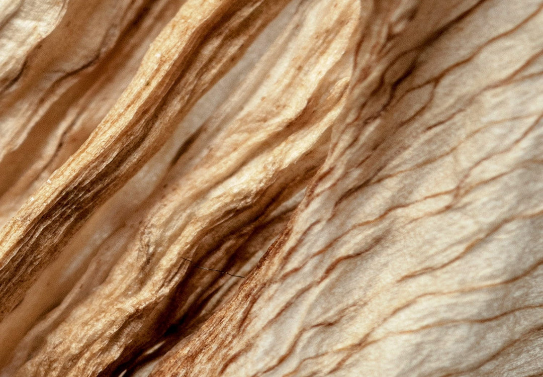 Glezna - Saulains pavērsiens (x 1), 130502 G-ART.