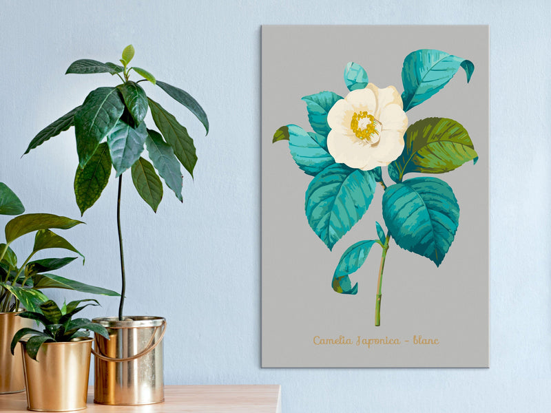 Kanva uz audekla "izkrāso pēc cipariem" - Beautiful Camellia 40x60 cm Artgeist