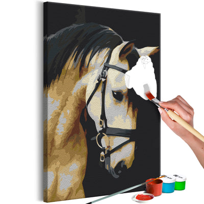 Kanva uz audekla "izkrāso pēc cipariem" - Horse Portrait  40x60 cm Artgeist