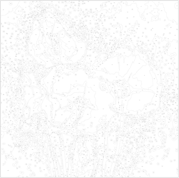 Glezna ar magonēm "izkrāso pēc cipariem" - Magones (modernas), 60x60 cm Artgeist