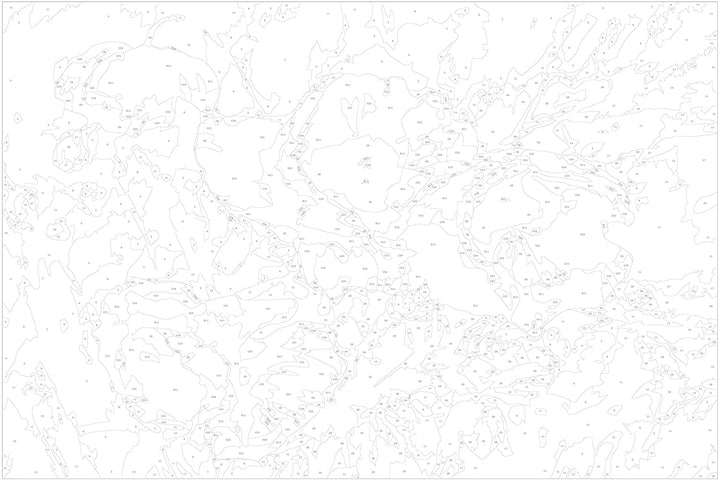 Glezna ar magonēm "izkrāso pēc cipariem"  - Magoņu pušķis, 60x40 cm Artgeist