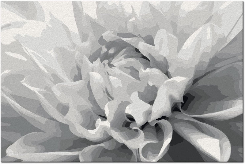 Kanva uz audekla "izkrāso pēc cipariem" - Melnbalts zieds 60x40 cm n-A-0255-d-a