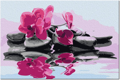 Kanva uz audekla "izkrāso pēc cipariem" - Orhideja ar zen akmeņiem 60x40 cm n-A-0228-d-a