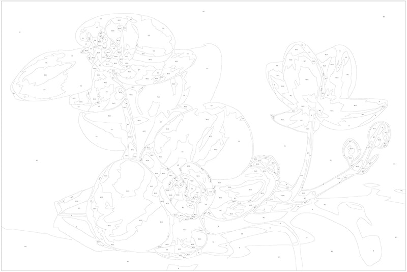 Kanva uz audekla "izkrāso pēc cipariem" - Orhidejas ziedi 60x40 cm n-A-0240-d-a
