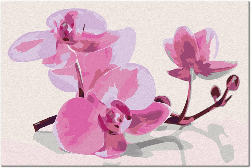 Kanva uz audekla "izkrāso pēc cipariem" - Orhidejas ziedi 60x40 cm n-A-0240-d-a