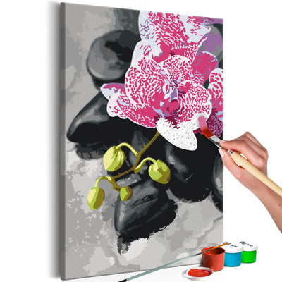 Kanva uz audekla "izkrāso pēc cipariem" - Rozā orhideja 40x60 cm Artgeist