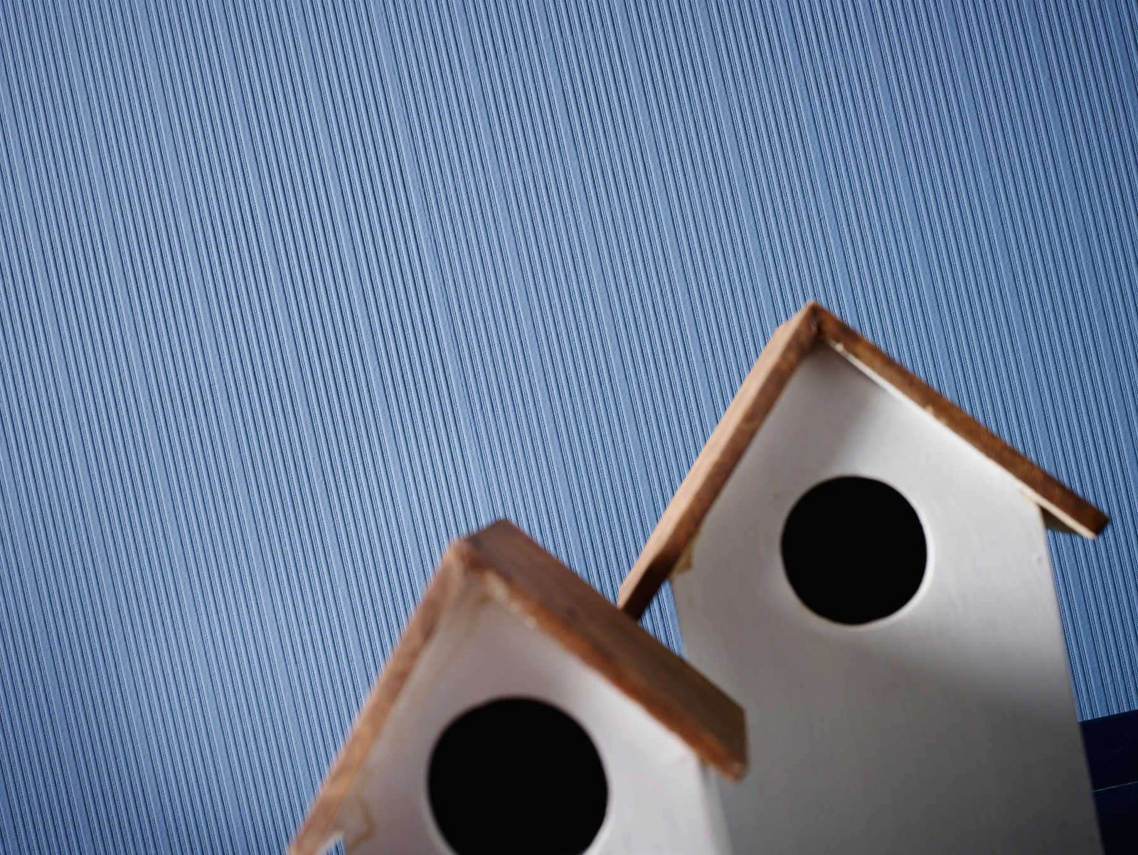 Krāsojamas tapetes AS Creation 575418 (1.06s25m) PROTECT+ AS Creation