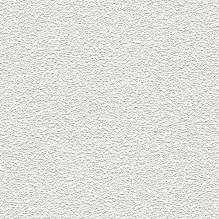 Krāsojamas tapetes ar smalku rakstu AS Creation 103819 (0.53x10m) AS Creation