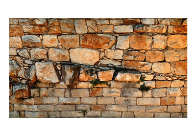 Большой, крупноформатный Фотообои с каменной стеной - Prelude of the Day II 500x280 см, 600x280 см G-ART
