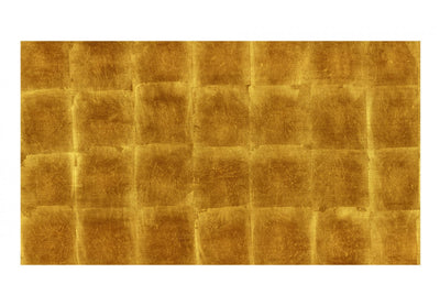 Suurikokoinen Valokuvatapetti kultaisella rakennekuviolla - Golden Cage (500x280 cm) G-ART