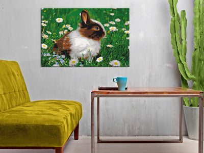 Kanva uz audekla "izkrāso pēc cipariem" - Rabbit in the Meadow 60x40 cm Artgeist