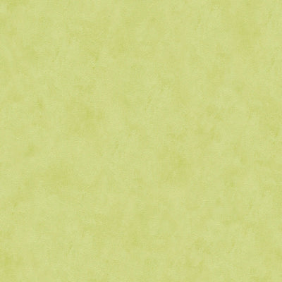 Papīra tapetes ar teksturētu virsmu ābolu zaļā krāsā, 2501342 AS Creation