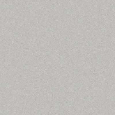 Gray wallpaper with a matte surface, 1133620 AS Creation