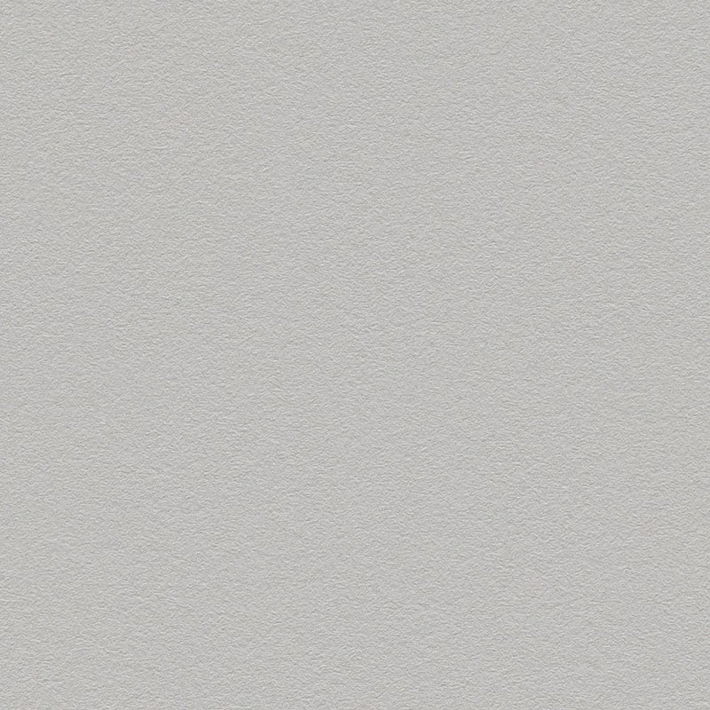 Gray wallpaper with a matte surface, 1133620 AS Creation