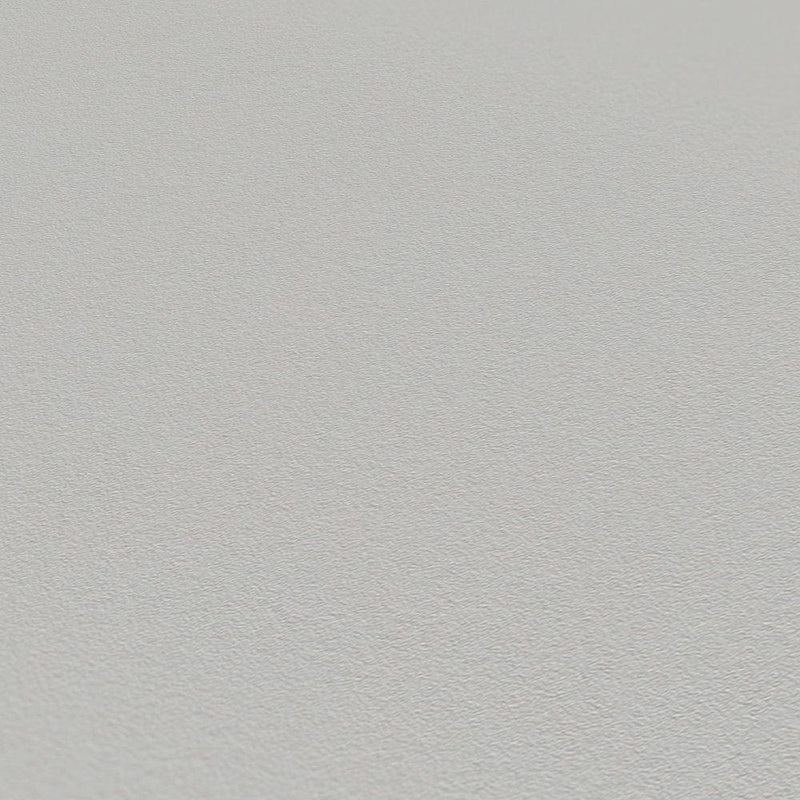 Gray wallpaper with a matte surface, 1133620 AS Creation