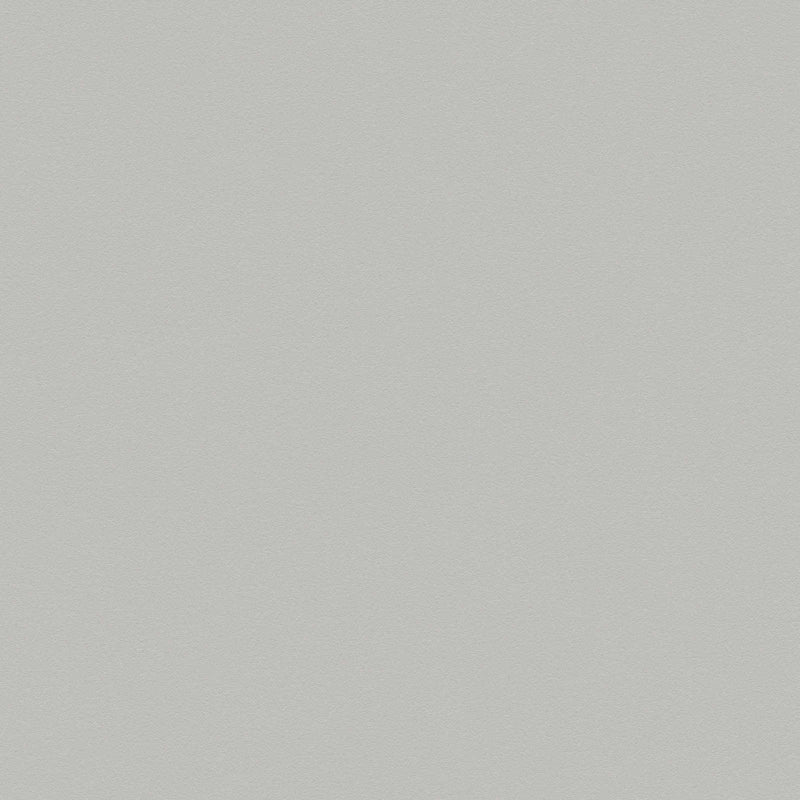 Gray wallpaper with a matte surface, 1133620 AS Creation