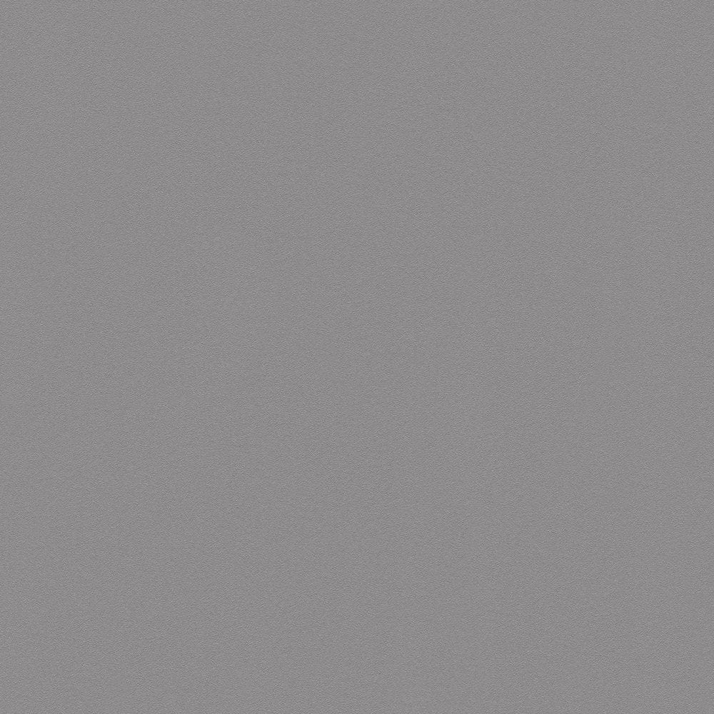 Pelēkas vienkrāsainas matētas tapetes AS Creation 349316	 AS Creation