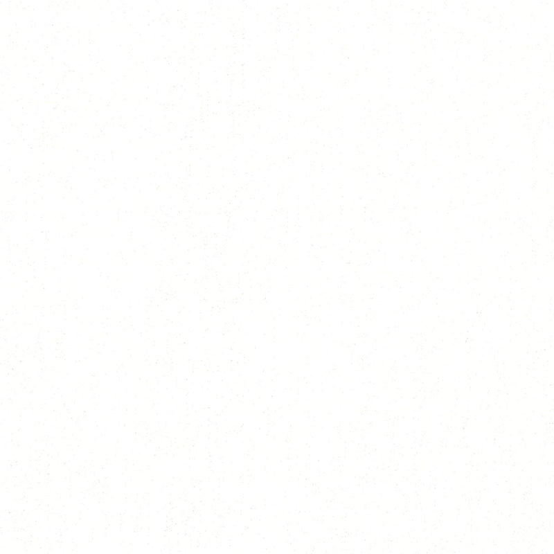 Sniegbaltas vienkrāsainas tapetes ar spīdīgu virsmu, 3702415 Erismann