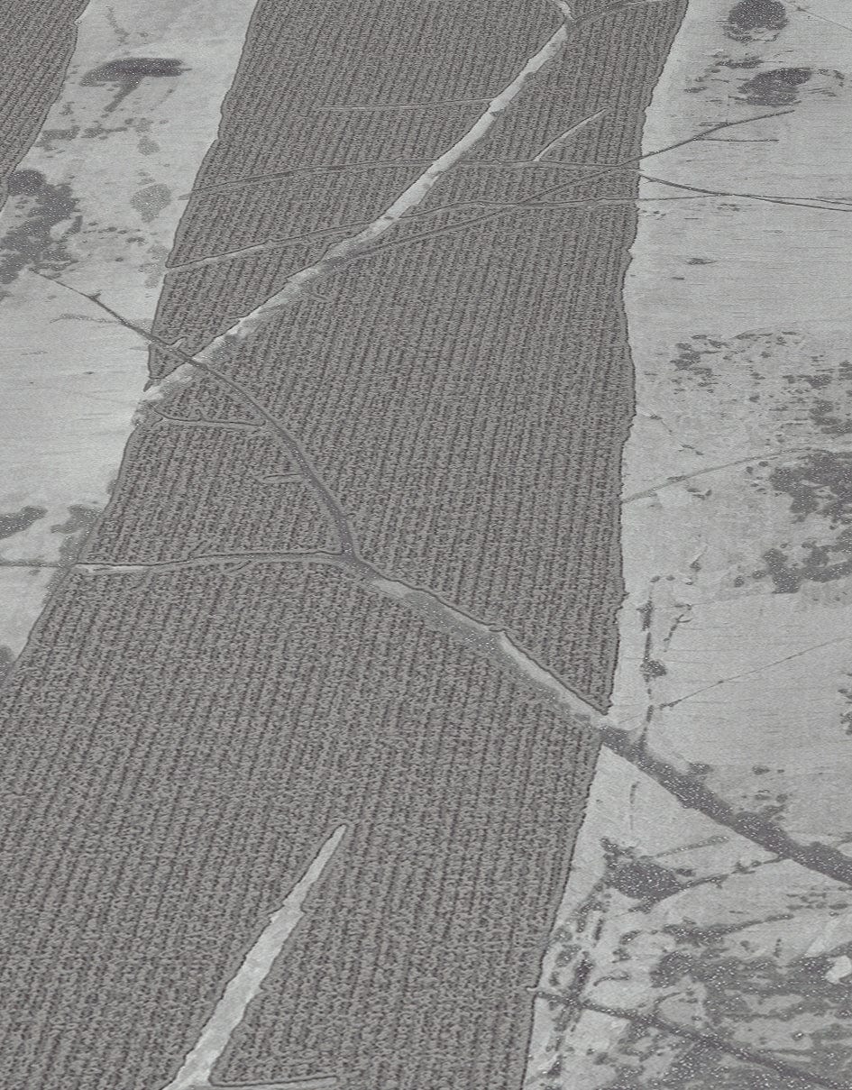 Erismann