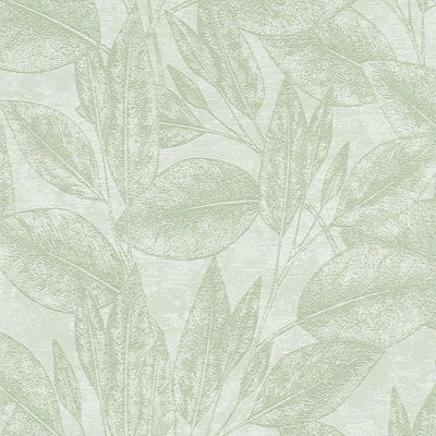 Tapetes ar dabas tematiku, lapas zaļā krāsā Tapetenshop.lv