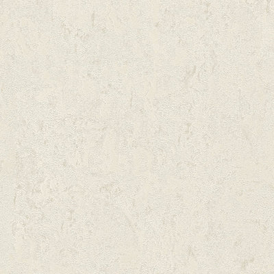 Tapetes ar dekoratīva apmetuma imitāciju gaiši pelēkā krāsā, 1217121 AS Creation