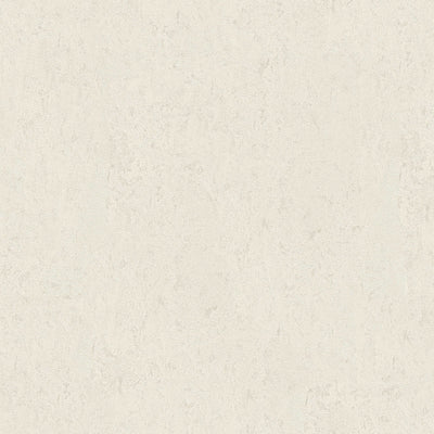 Tapetes ar dekoratīva apmetuma imitāciju gaiši pelēkā krāsā, 1217121 AS Creation