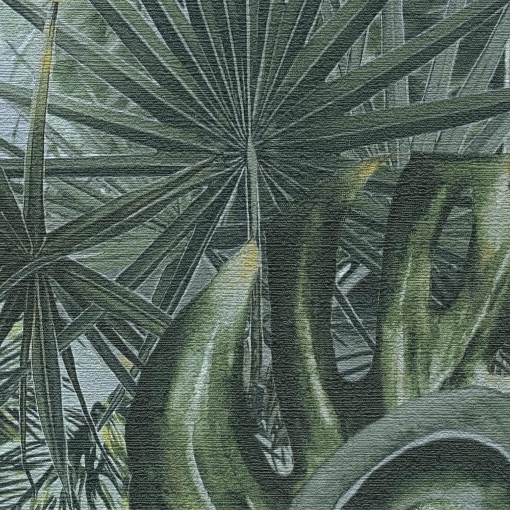 Tapetes ar džungļiem un palmām zaļā krāsā - 1355111 AS Creation