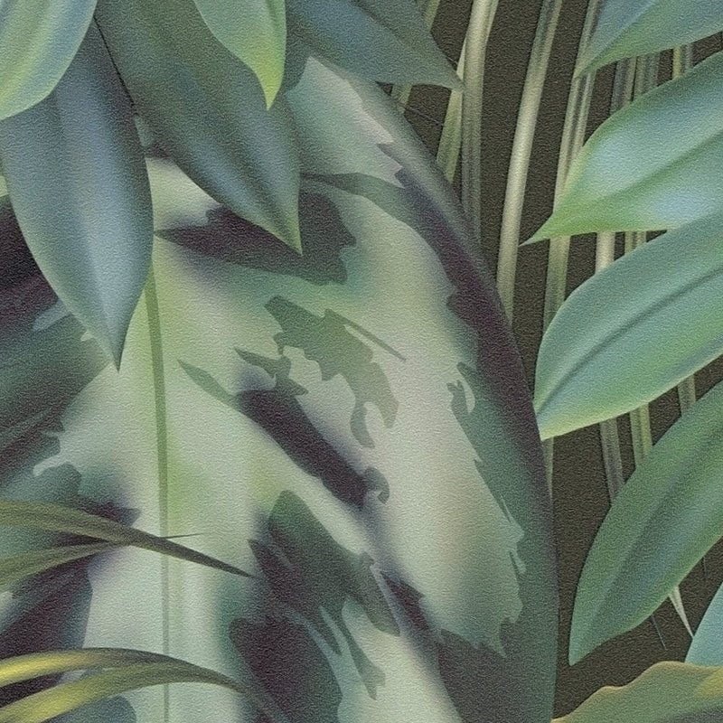Tapetes ar džungļiem un tropiskam lapām, tumši zaļā krāsā, 1364202 AS Creation