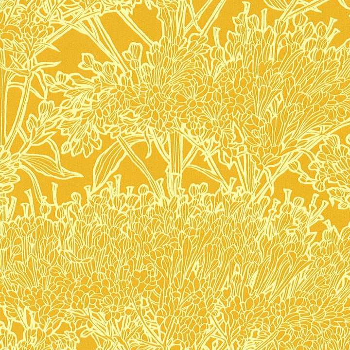 AS Creation