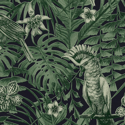 Exotic wallpapers of tropical birds, flowers and leaves in dark green 372101 AS Creation