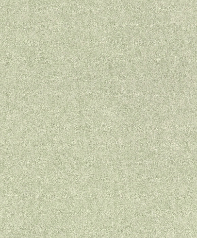 Tapetes RASCH ar dekoratīvu apmetumu gaiši zaļā krāsā, 2265630 RASCH
