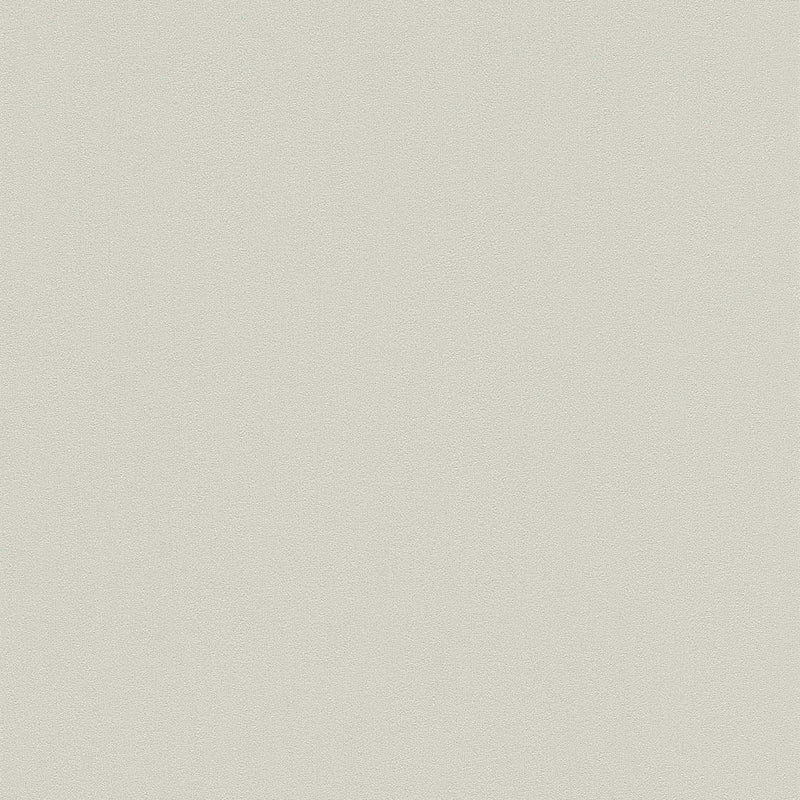 Vienkrāsainas tapetes Karl LAGERFELD silti pelēkā krāsā, 1344000 AS Creation