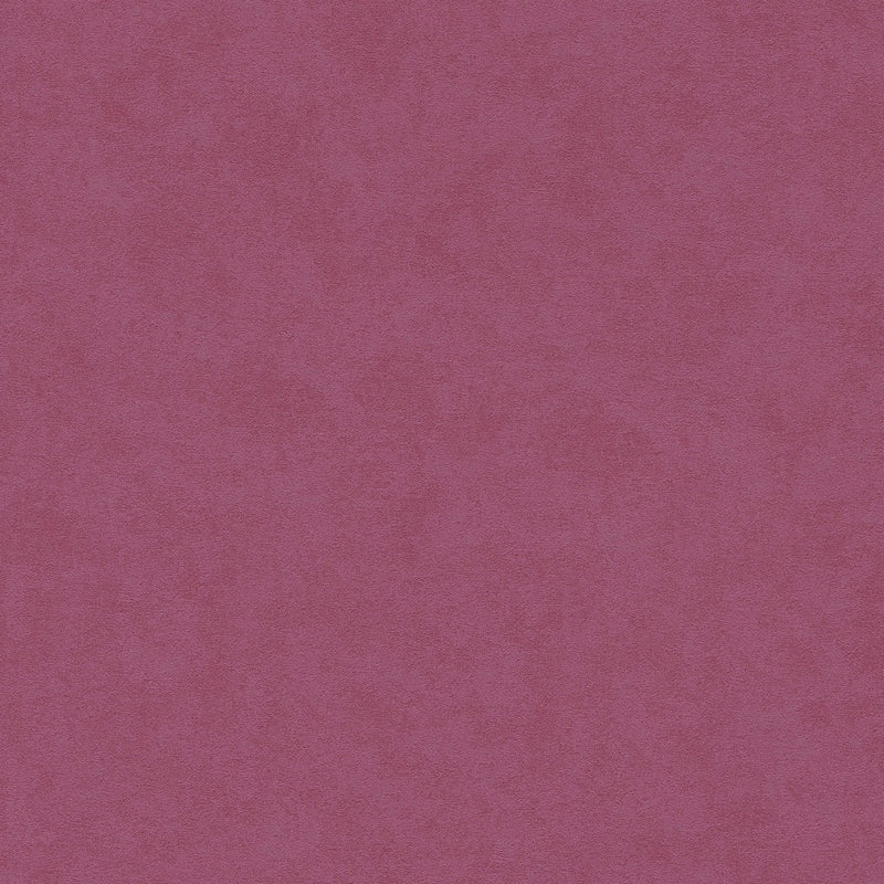 Vienkrāsainas tapetes violetā krāsā, 1334436 AS Creation