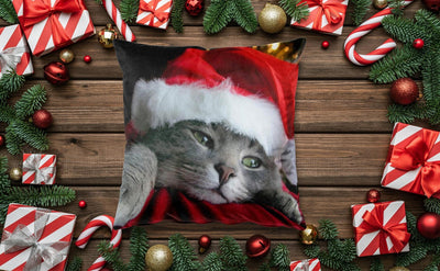 Ziemassvētku spilvendrānas (velūra) - Kaķis ar Ziemassvētku vecīša cepuri G-art