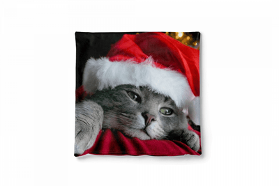 Ziemassvētku spilvendrānas (velūra) - Kaķis ar Ziemassvētku vecīša cepuri G-art